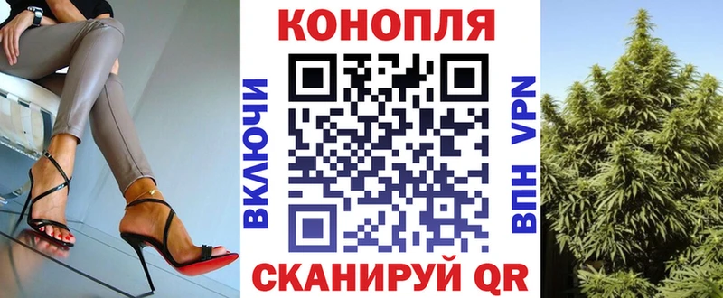 закладка  Соль-Илецк  Конопля план 